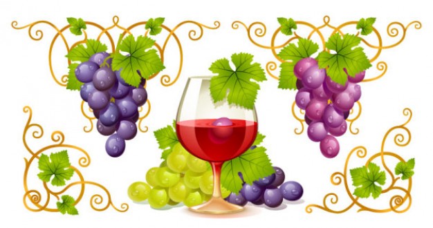 grape-and-wine-vector-material 15-9134